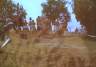 Clip0008.jpg