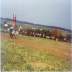 1971_87.jpg